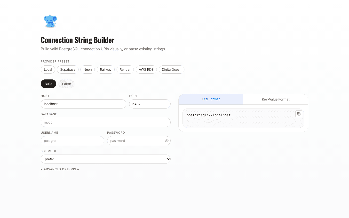 PostgreSQL connection string builder form and output panel